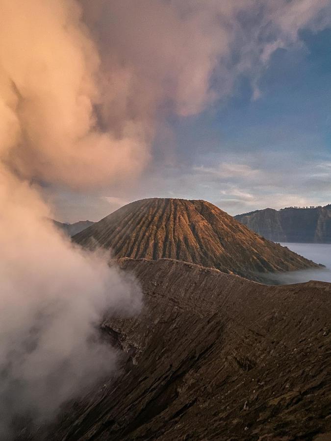 Good Karma Bromo Guesthouse Extérieur photo
